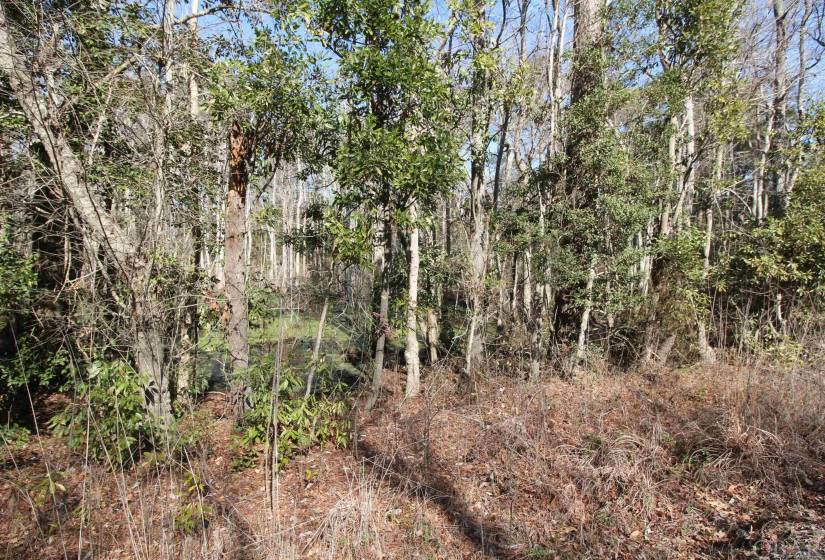 133 Lawrence Street, Jarvisburg, NC 27947, ,Land,For Sale,Lawrence Street,118104